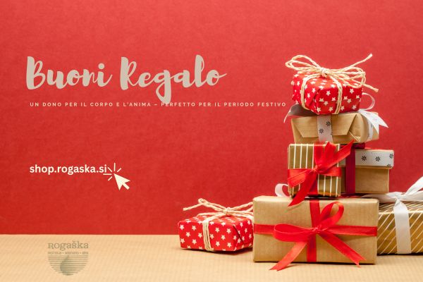 Hotel Sava Roga&scaron;ka